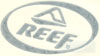 5" Reef Sticker